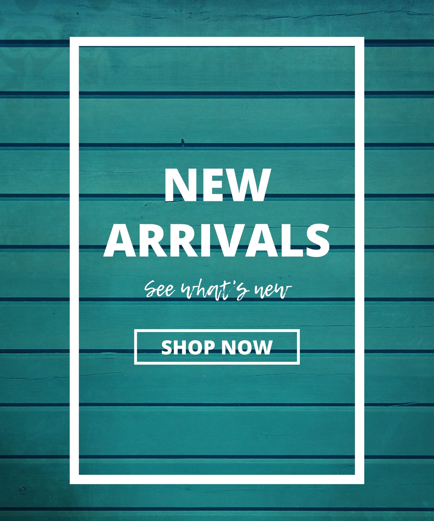 New Arrivals